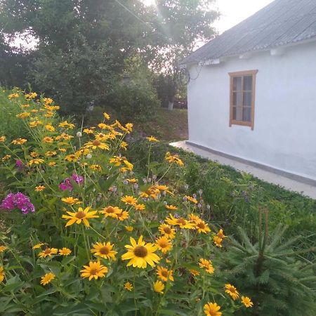 Соколине Гніздо Villa Dmitrenki Eksteriør billede