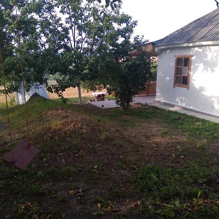 Соколине Гніздо Villa Dmitrenki Eksteriør billede