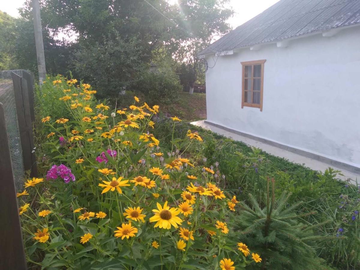 Соколине Гніздо Villa Dmitrenki Eksteriør billede