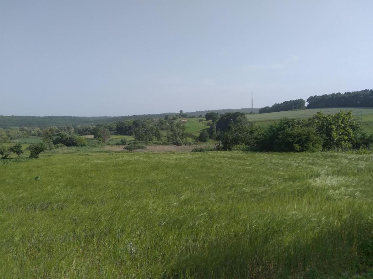 Соколине Гніздо Villa Dmitrenki Eksteriør billede