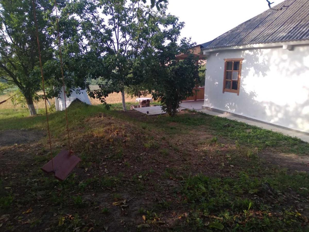 Соколине Гніздо Villa Dmitrenki Eksteriør billede