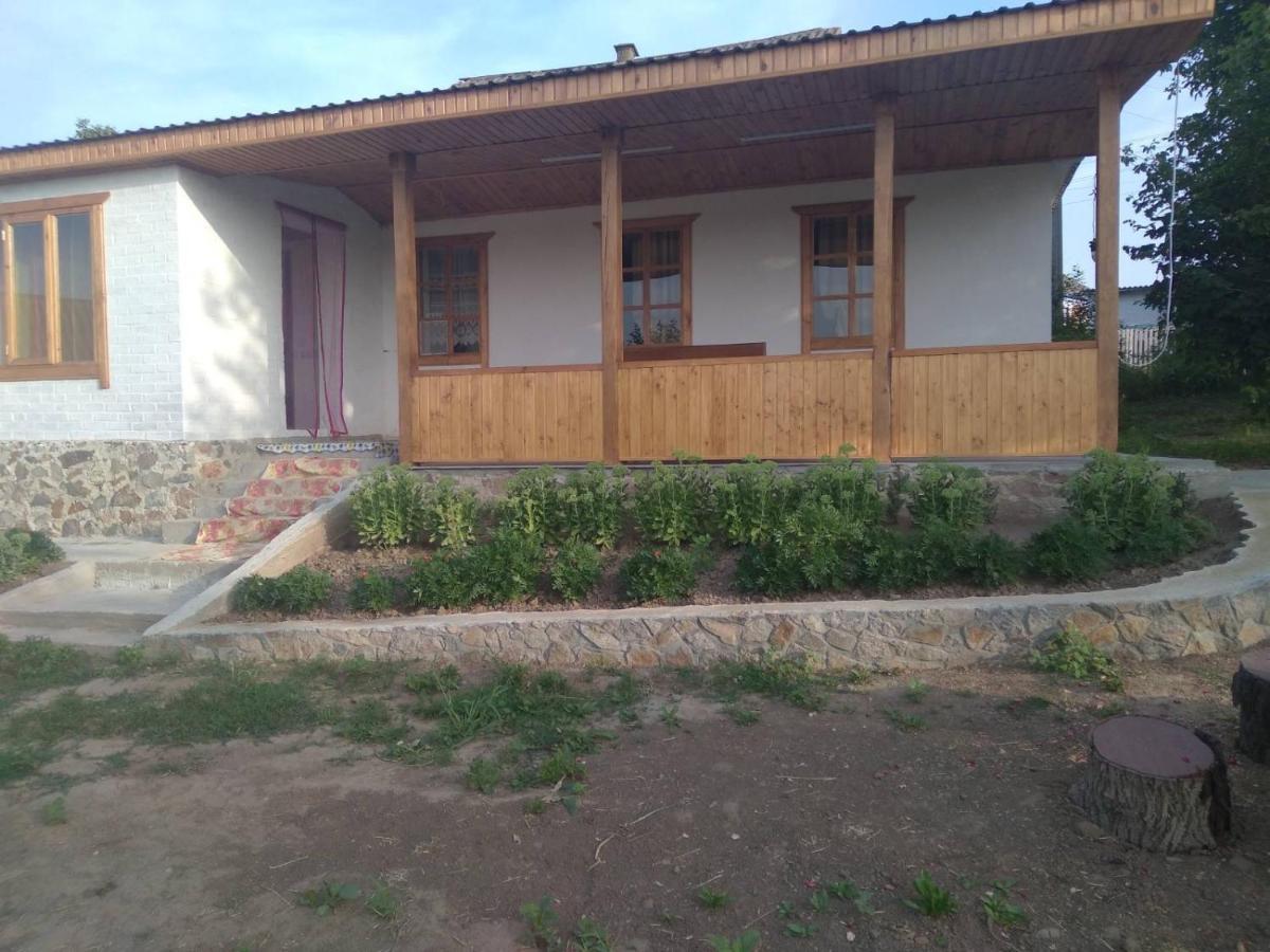Соколине Гніздо Villa Dmitrenki Eksteriør billede
