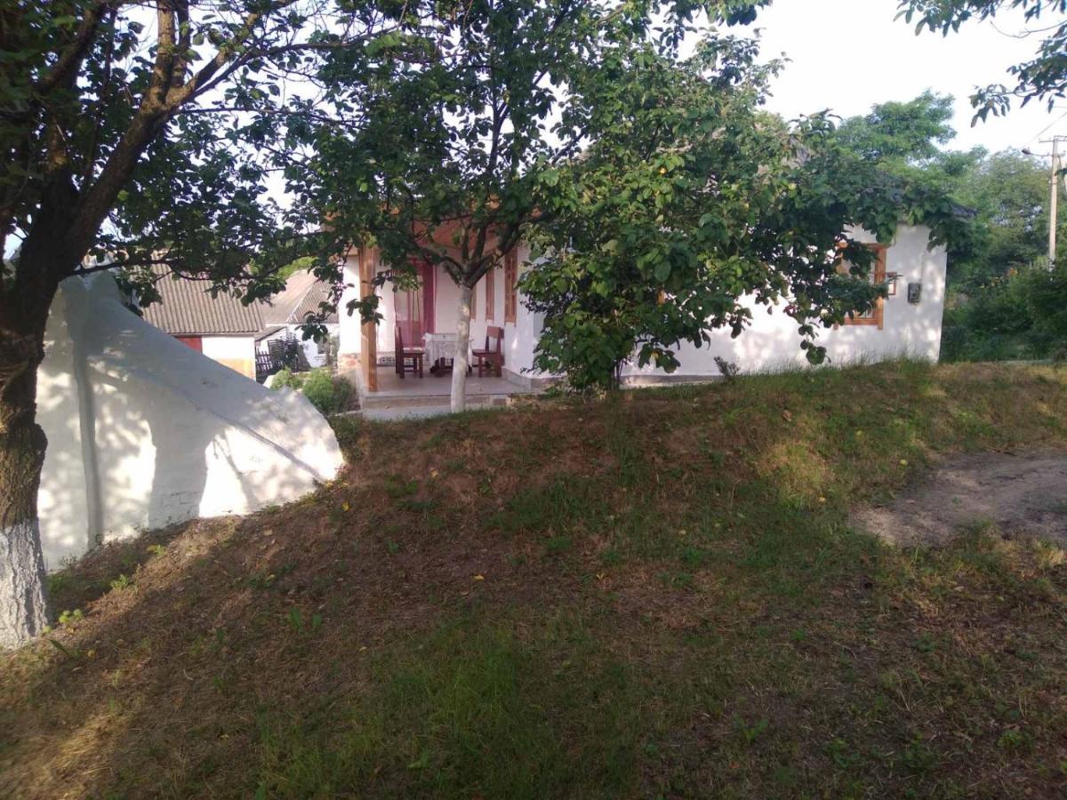 Соколине Гніздо Villa Dmitrenki Eksteriør billede